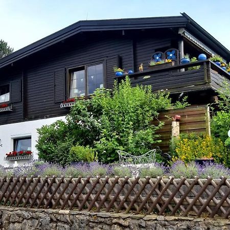 Haus Harzer Bergblick All Inklusiv Bad Lauterberg Ngoại thất bức ảnh