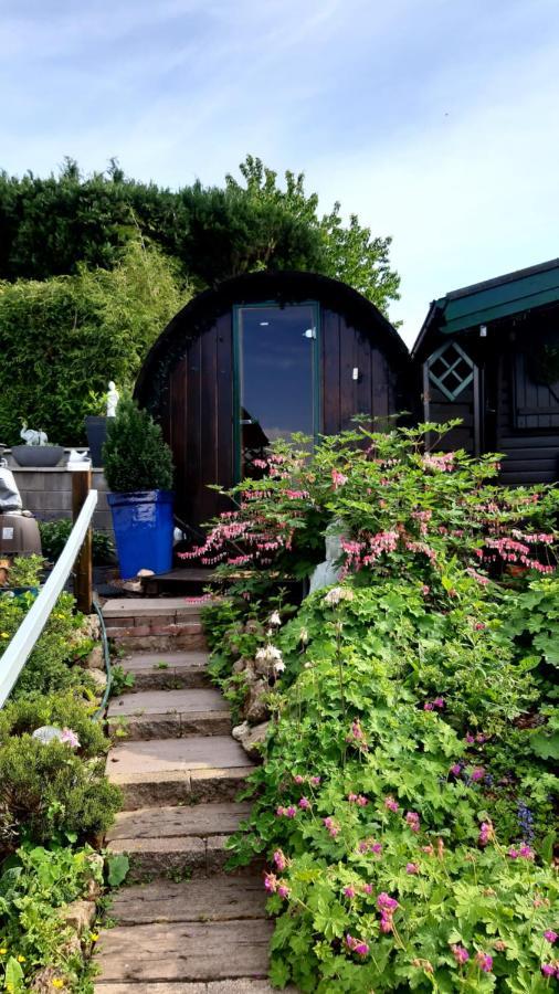 Haus Harzer Bergblick All Inklusiv Bad Lauterberg Ngoại thất bức ảnh