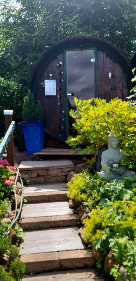 Haus Harzer Bergblick All Inklusiv Bad Lauterberg Ngoại thất bức ảnh